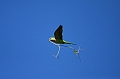 Resize of _MG_0188